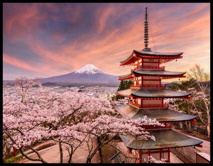 Ein Leinwandbild von der Chureito-Pagode vor dem Fuji-Berg bei Sonnenuntergang, umgeben von Kirschblüten.