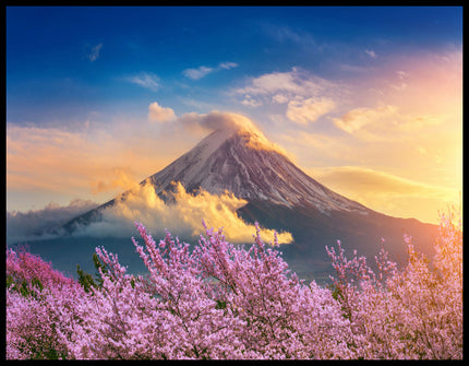 Ein Leinwandbild von einem blühenden Kirschbaumfeld vor dem Berg Fuji.