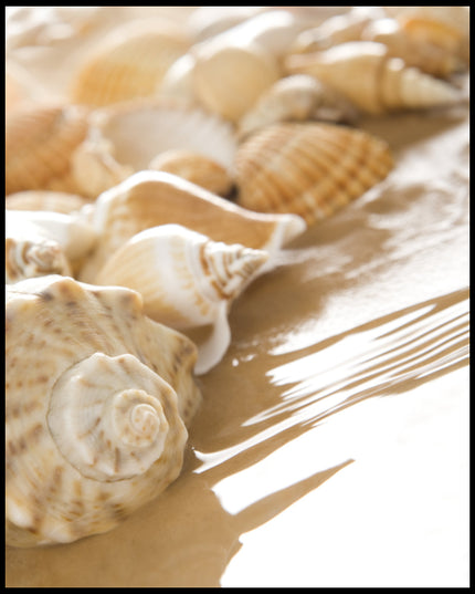 Ein Leinwandbild von Muscheln, die am Rand eines sandigen Strandes liegen, teilweise vom Wasser umspült.