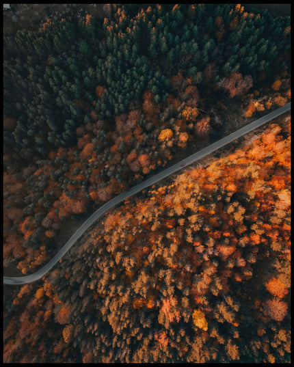 Leinwandbild aus der Vogelperspektive von einer Straße die durch einen herbstlichen Wald führt.