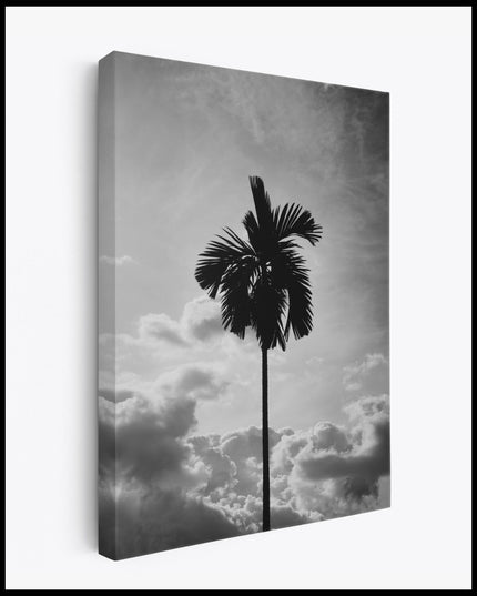 Lonely Palm Tree Canvas