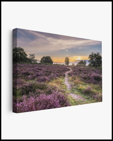 Landscape with purple Flowers Canvas