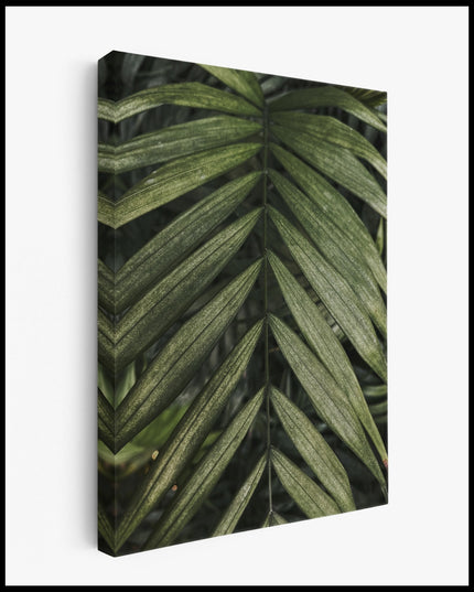 Palm Leaf Canvas