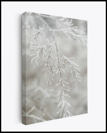 Frozen Branch Canvas