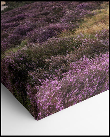 Landscape with purple Flowers Canvas