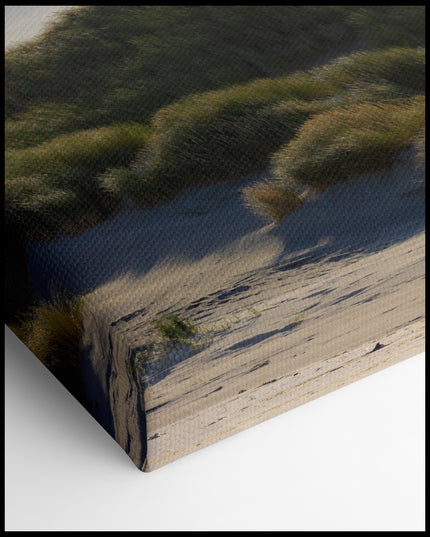 Dunes Beach Grass Canvas