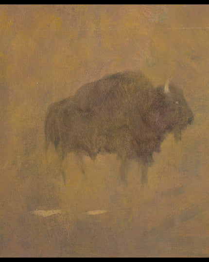 Buffalo In A Sandstorm