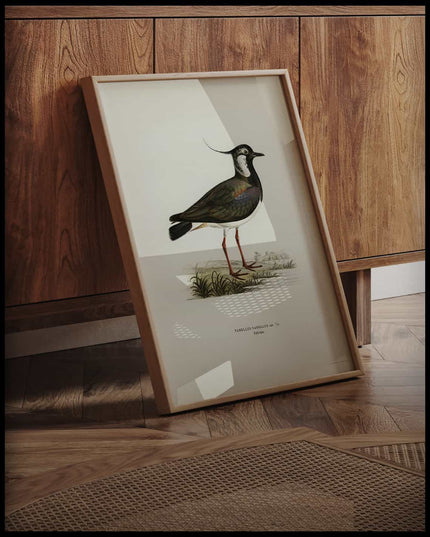 Vanellus Vanellus Poster