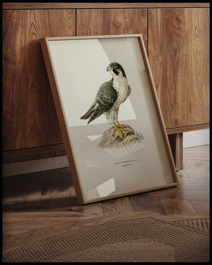 Falco Peregrinus Poster