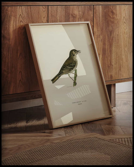 Turdus Usicus Poster