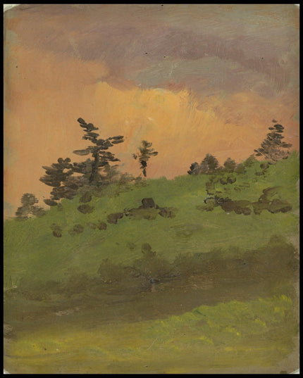 Landscape at Woods