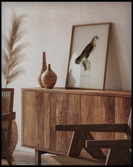 Buteo Intermedius Poster