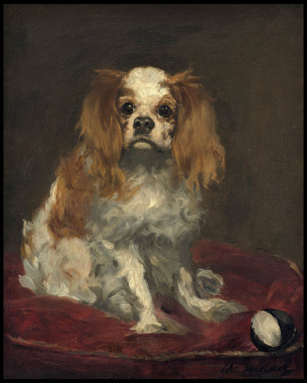 King Charles Spaniel