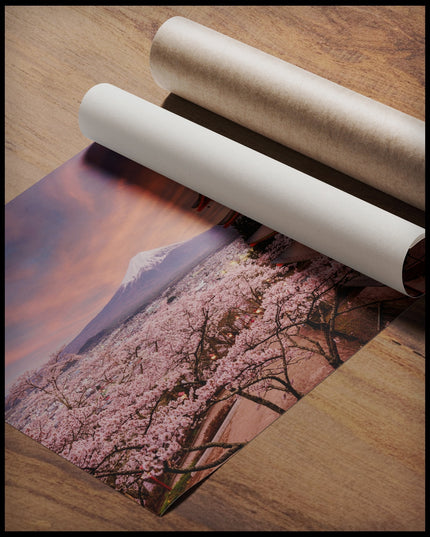 Ein Poster von der Chureito-Pagode vor dem Fuji-Berg bei Sonnenuntergang, umgeben von Kirschblüten, gerollt auf einer Holzoberfläche liegend