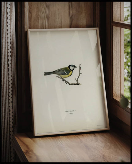 Parus Major Poster