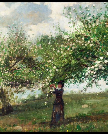 Girl Picking Apple Blossoms