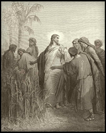 The disciples pluck grain on the sabbath